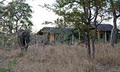 Shindzela Tented Safari Camp image 1