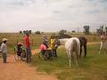 Shumbashaba Equine Assisted Therapy Centre image 5