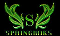 Springbok Pub - Newlands - image 5