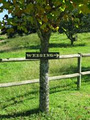 The Cairn Of Old Kilgobbin image 4