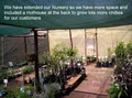 The Potted Herb Nursery and Gift Shoppe image 4