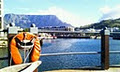 V&A Waterfront image 6