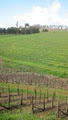 Valley Green Winery image 4