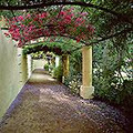Vergelegen Wines (Pty) Ltd image 6