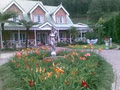 Victoria Guest House image 1
