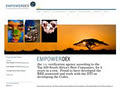 WOW Interactive: web design, Online marketing image 4