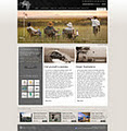 Website Design Website Development, Knysna, Plett, George, Garden Route | BGV logo