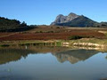 Western Cape Tours image 4