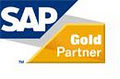 SAP Business One Consulting logo