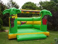 Action Jumping Castles image 1