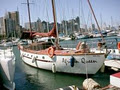 Durban Charter Boat Bookings image 5