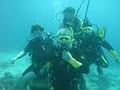 Scuba Diving Cape Town Scuba Diving South Africa image 1