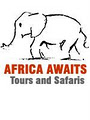 Africa Awaits Tours & Safaris image 1
