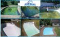 BIG BLUE Pool Services image 5