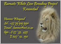 Barnato white lion breeding project logo