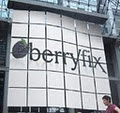 BerryFix logo