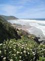 Cape Tourism - Brenton-On-Sea image 2