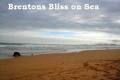 Cape Tourism - Brenton-On-Sea image 3