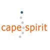 Cape Town Car Rental by Cape Spirit image 5