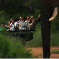 Chisomo Safari Camp logo