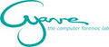 Cyanre, The Computer Forensic Lab logo