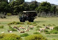 Fairy Glen Private Game Reserve image 3