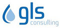 GLS Software logo
