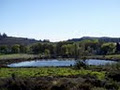 Klondyke Cherry Farm image 3