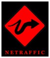 Netraffic Web Design image 2