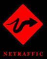 Netraffic Web Design logo