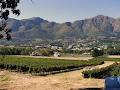Paarl Taxis and Tours image 4