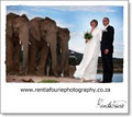 Rentia Fourie Photography image 1