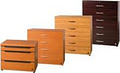 Specialised Filing Systems image 2