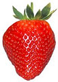 Strawberry-s and Cream Fat Loss Clinic logo