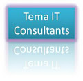 Tema IT Consultants logo