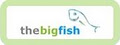 The Big Fish Web Design logo