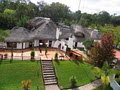 Zulu Nyala Country Manor image 4
