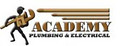 Academy Plumbing & Electrical logo