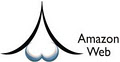 Amazon Web Premier Web Designers logo