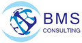 BMS Consulting logo