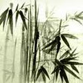 Bamboo Fusion logo