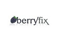 BerryFix logo