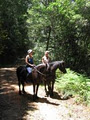 Black Horse Trails image 2