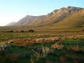 Bontebok Ridge Reserve image 1