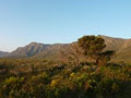 Bontebok Ridge Reserve image 3