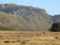 Bontebok Ridge Reserve image 4