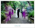 Cape Town Wedding Photographer - Monica Dart Photography logo