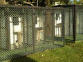 Cher Boarding Cattery image 3
