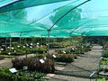 Colour Country Nursery image 2