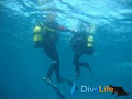 DiveLife Training Pool image 6